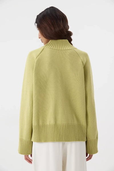 Свитер с широкой стойкой из хлопка (оливковый) (M/L) 
